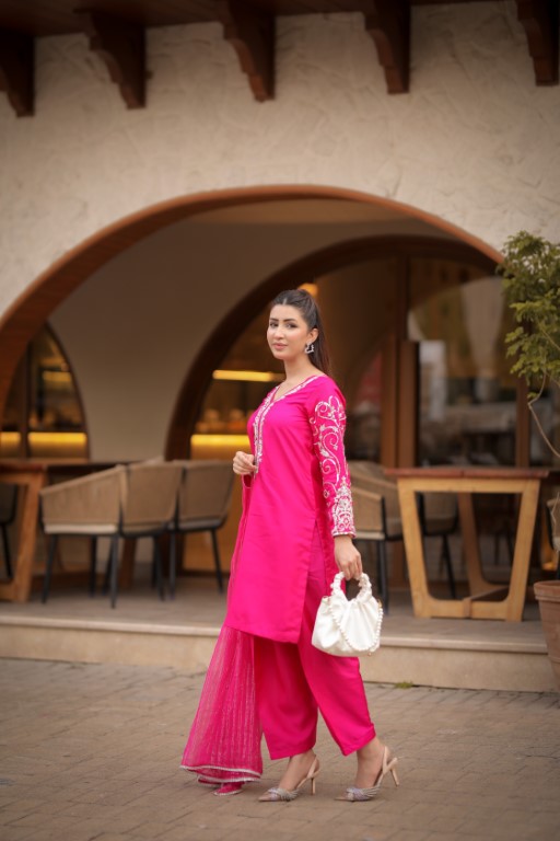 Elegant Pure Silk 3-Piece Evening Wear Suit – Silver Hand Work Detailing